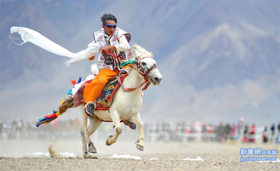 （体育）（6）西藏阿里举行赛马竞技大赛
