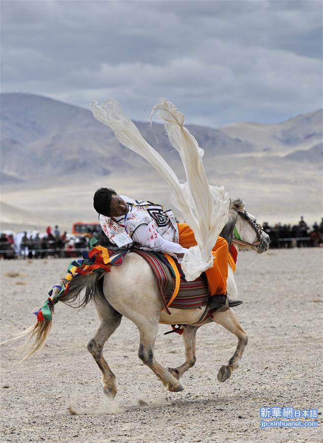 （体育）（7）西藏阿里举行赛马竞技大赛