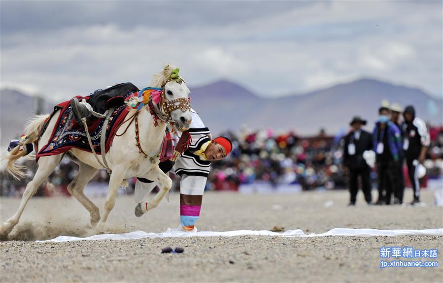 （体育）（8）西藏阿里举行赛马竞技大赛