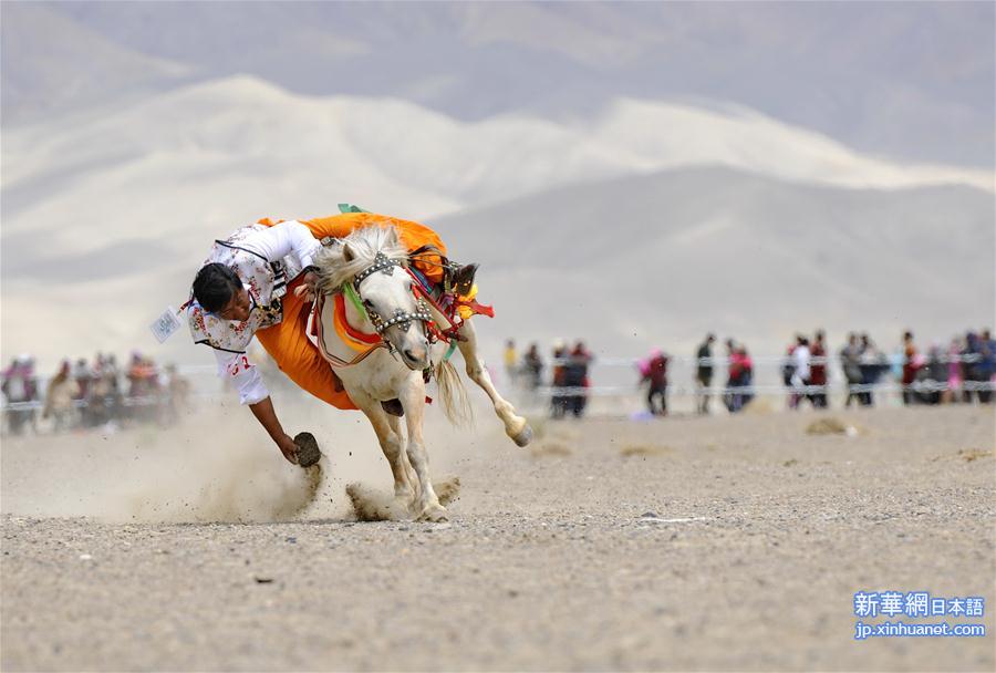 （体育）（10）西藏阿里举行赛马竞技大赛