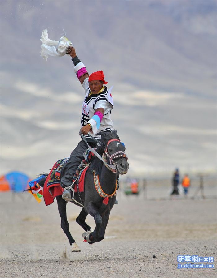 （体育）（25）西藏阿里举行赛马竞技大赛