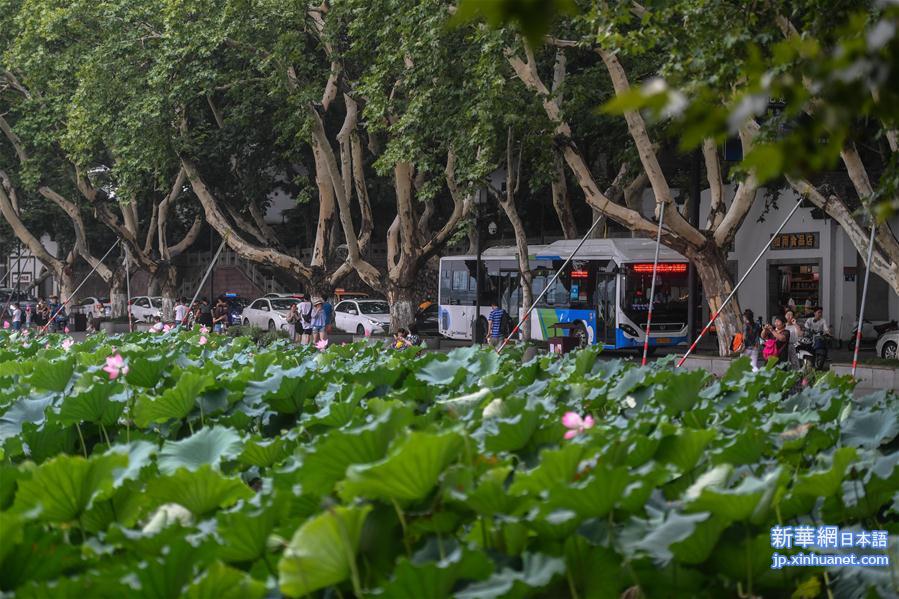 （社会）（4）杭州：2000余辆公交车已实现“零排放、零污染”