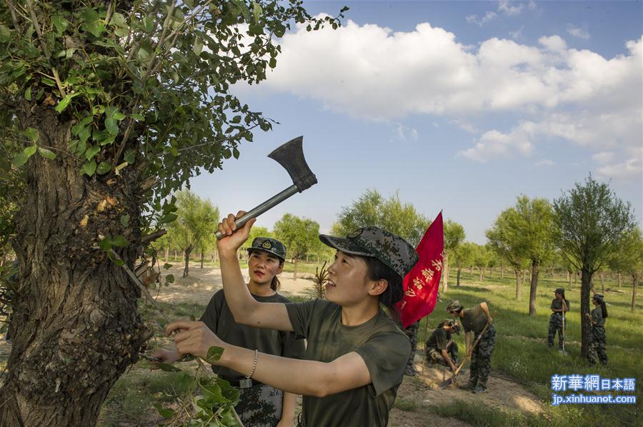 （壮阔东方潮 奋进新时代——庆祝改革开放40年）（10）感受“毛乌素”的生机