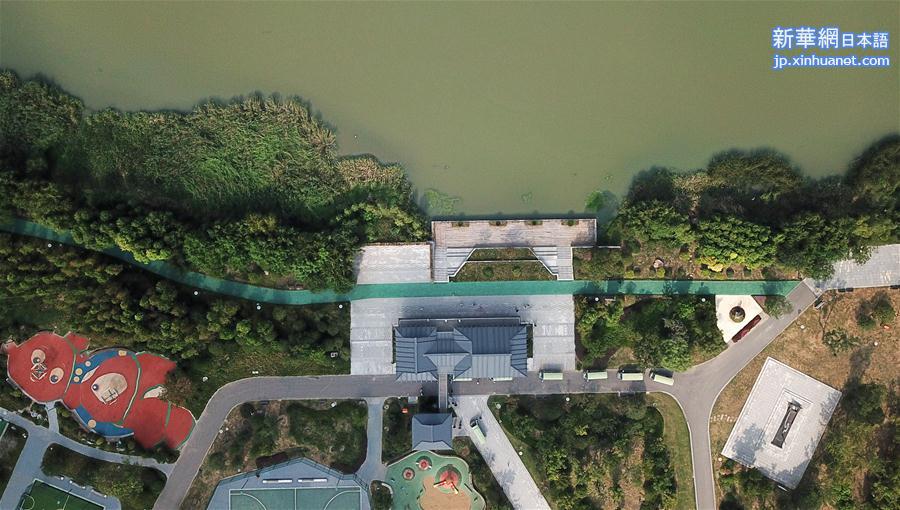 （社会）（2）古运河边的三湾湿地公园