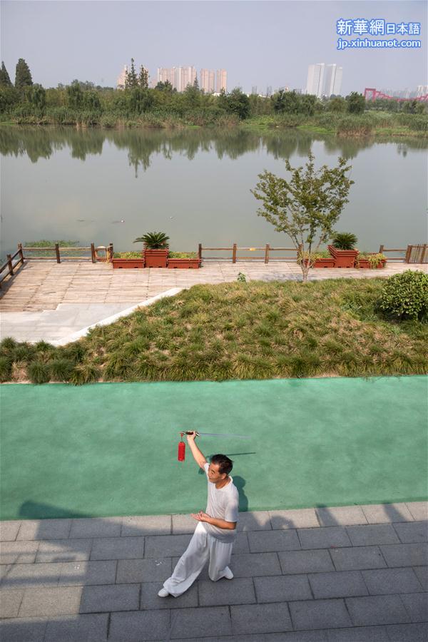 （社会）（5）古运河边的三湾湿地公园