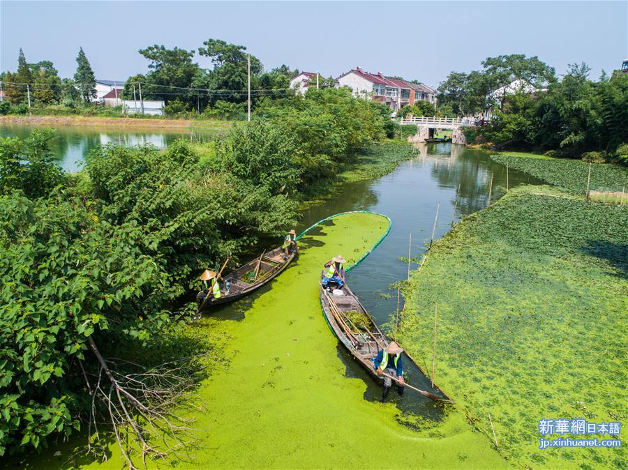 （环境）（3）浙江湖州：乡村河道清理忙