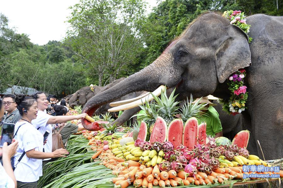 （社会）（1）云南西双版纳举办世界大象日活动