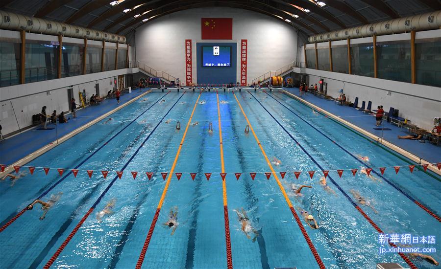  （体育）（2）游泳——国家游泳队举行公开训练课