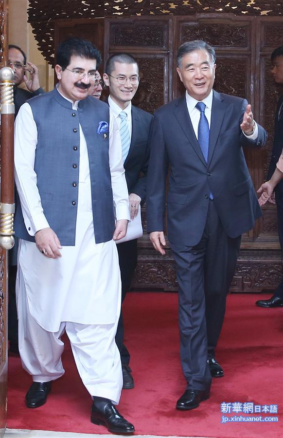 （时政）汪洋与巴基斯坦参议院主席桑吉拉尼举行会谈