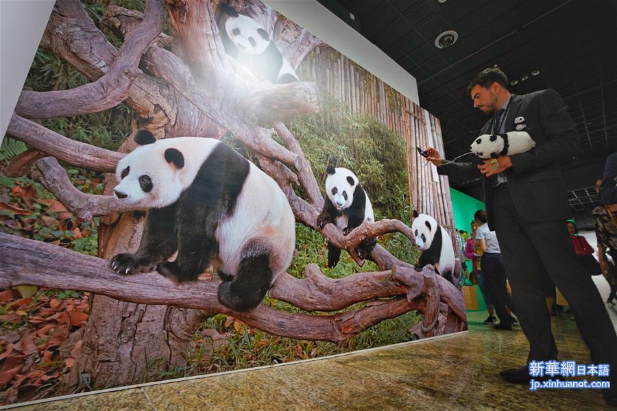 （文化）（2）“首届中国大熊猫国际文化周”在京开幕
