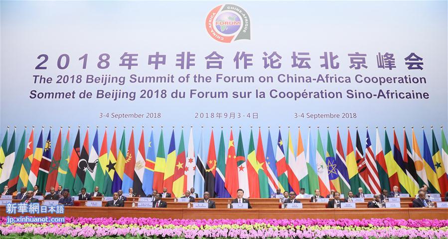（中非合作论坛）（3）中非合作论坛北京峰会隆重开幕