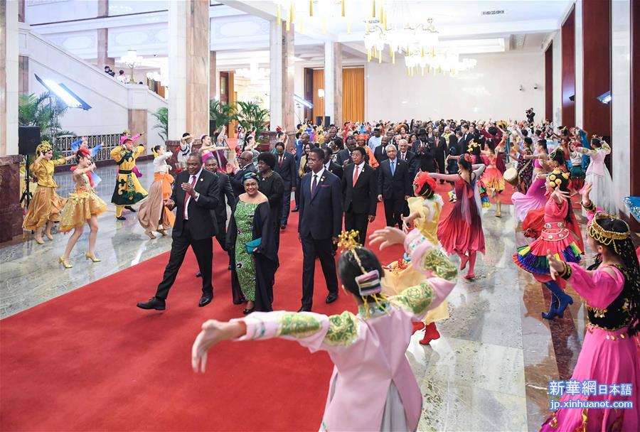 （中非合作论坛·XHDW）（3）欢迎贵宾