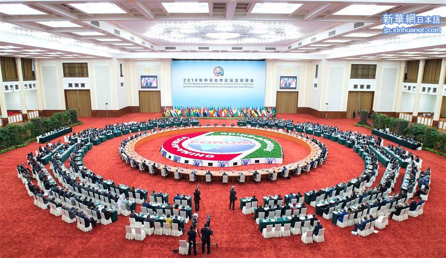 （中非合作论坛）（1）中非合作论坛北京峰会举行圆桌会议