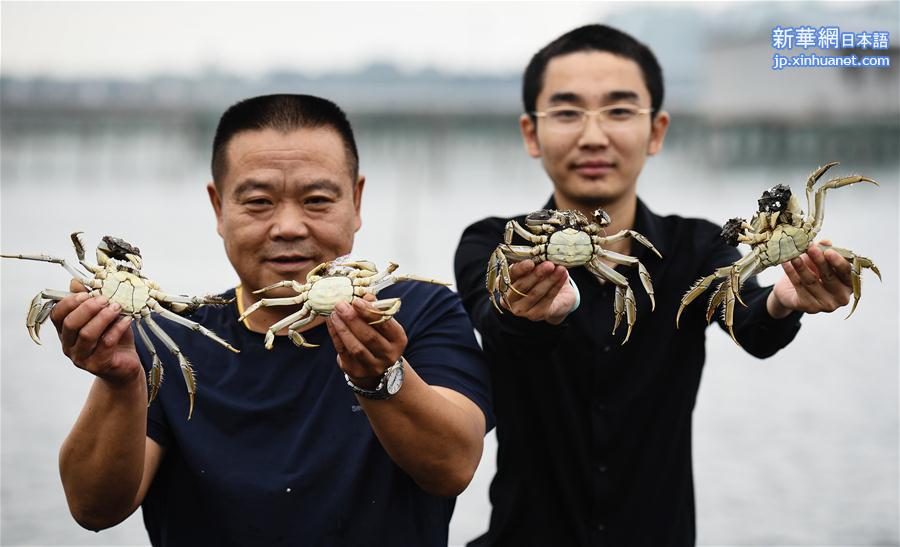 （经济）（1）阳澄湖大闸蟹开捕　