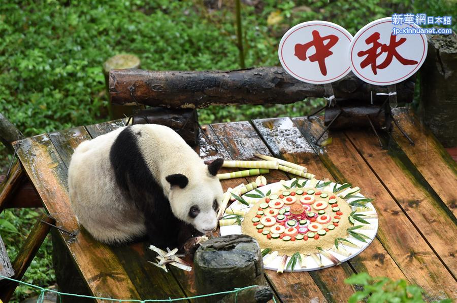 （社会）（2）重庆：手工月饼送给大熊猫