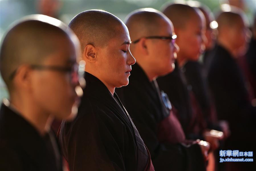 （XHDW）（2）第五届世界佛教论坛在福建莆田开幕