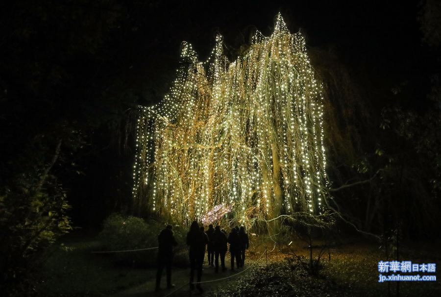 （国际）（1）“柏林圣诞花园”灯光秀开幕