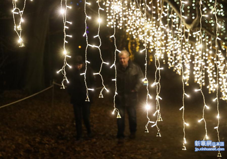 （国际）（4）“柏林圣诞花园”灯光秀开幕