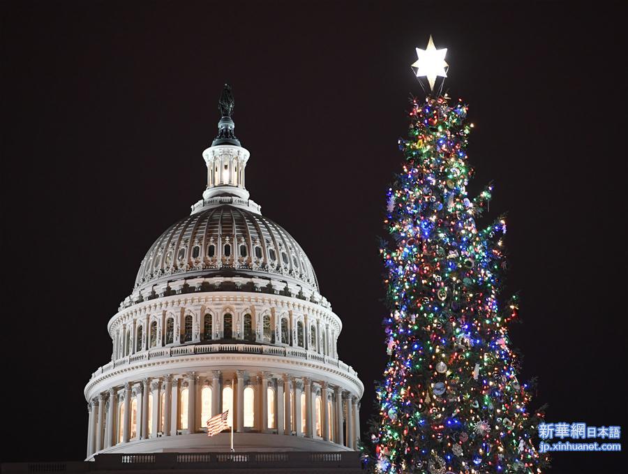 （新华视界）（3） 华盛顿点亮国会圣诞树