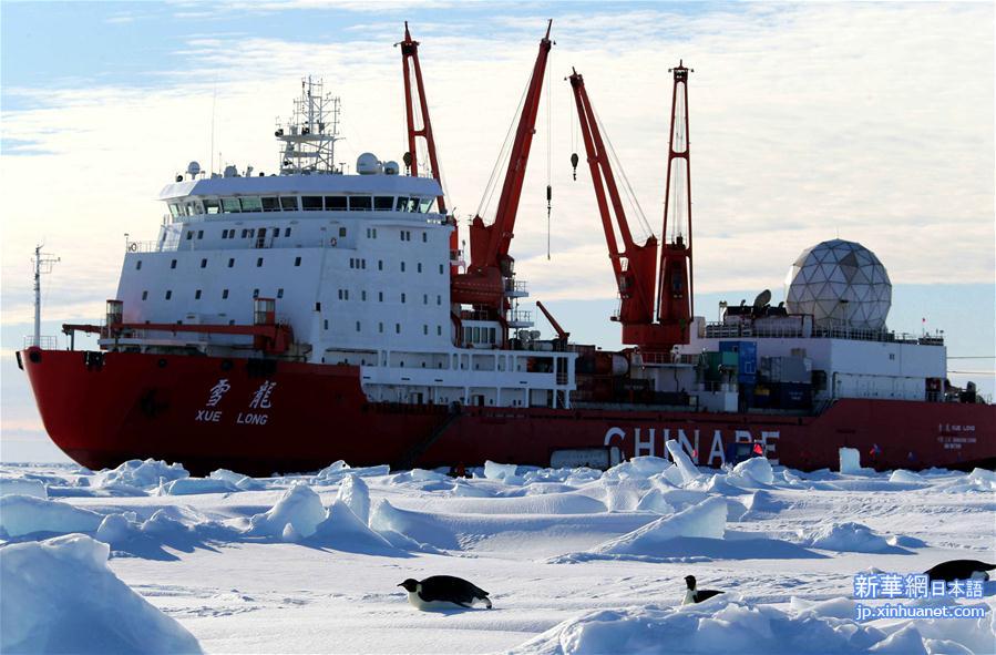 （“雪龙”探南极）（1）“雪龙”号船边的南极企鹅