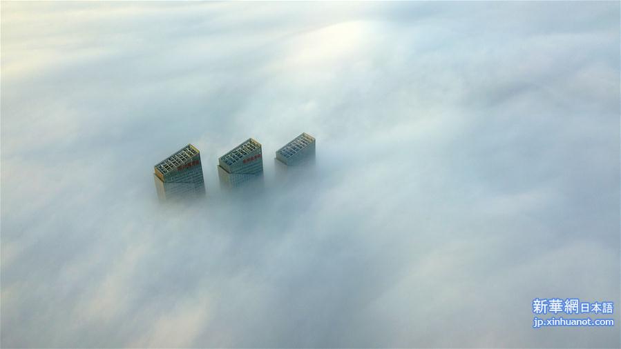 #（新华视界）（4）江苏扬州：雾海“仙境”美如画
