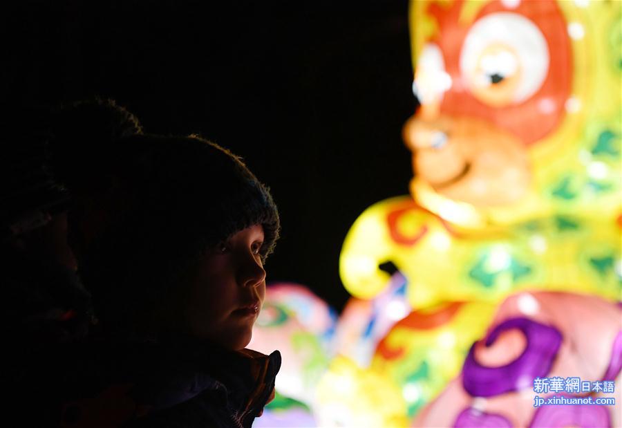 （国际）（3）中国彩灯点亮科隆冬夜
