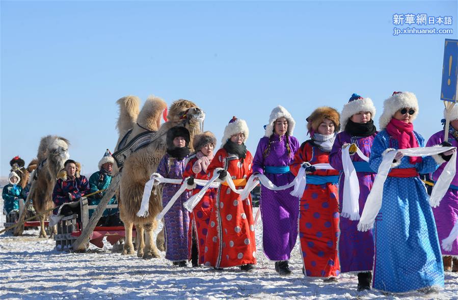 （新华视界）（3）内蒙古：克什克腾旗举办骆驼文化节