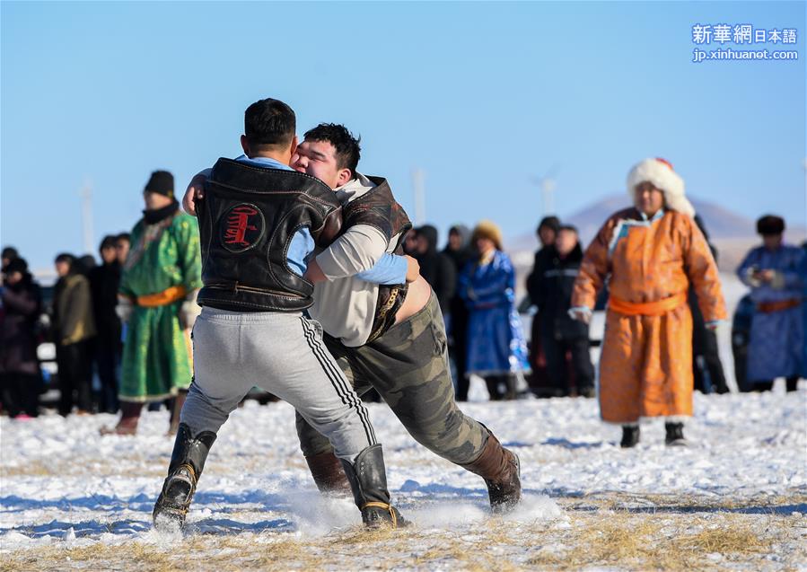 （新华视界）（2）内蒙古：克什克腾旗举办骆驼文化节