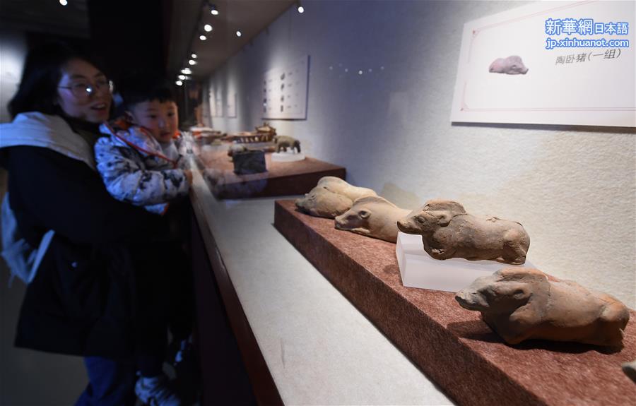 （文化）（4）南京博物院举办院藏猪文物展