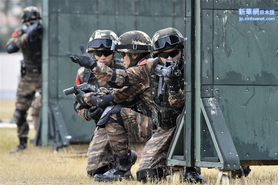 （新华全媒头条·图文互动）（5）中国军队2019：强军兴军再出发