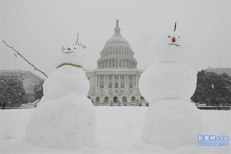 （国际）（1）华盛顿降暴雪