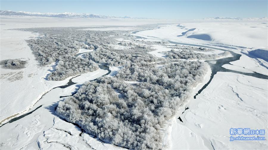 （冬季美丽生态）（1）新疆昭苏：冰雪胜境