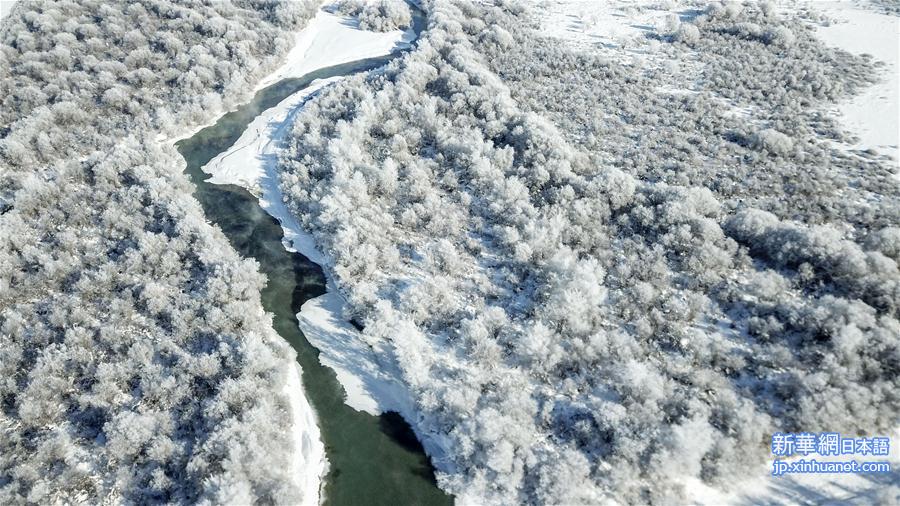 （冬季美丽生态）（5）新疆昭苏：冰雪胜境