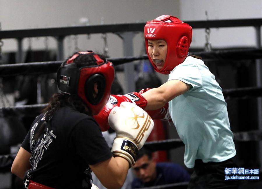 （体育）（1）拳击——国家队休斯敦训练备战东京奥运会