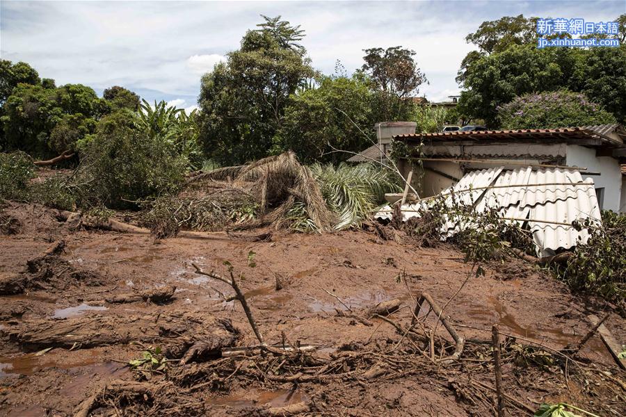 （国际）（8）巴西矿坝溃坝事故遇难者人数升至58人