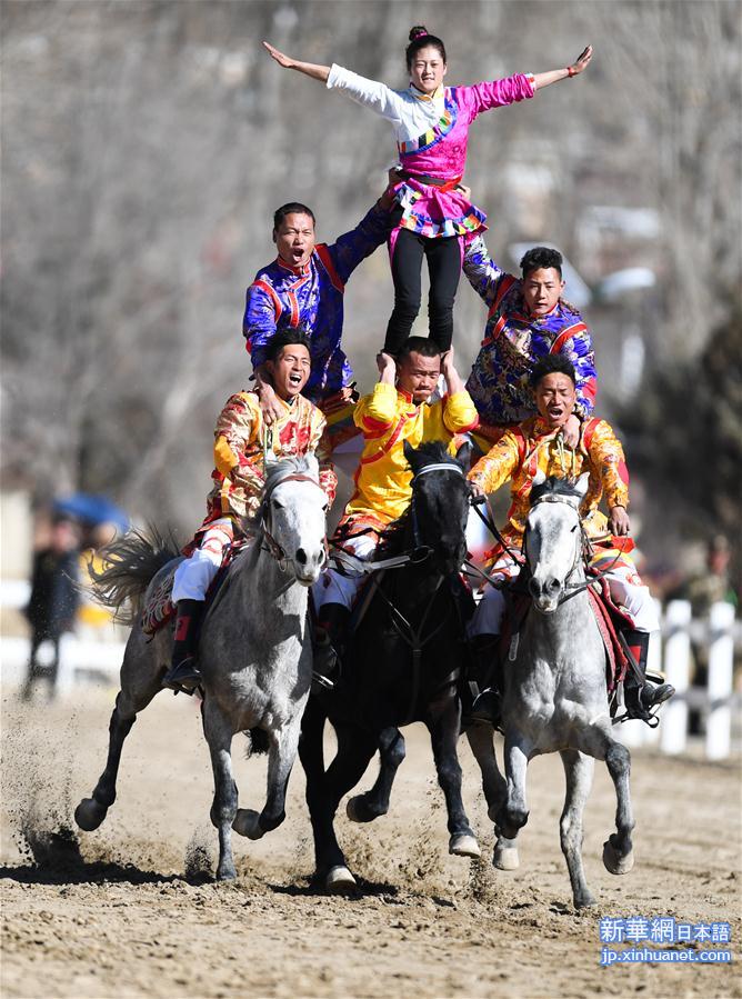 （新春走基层）（2）西藏：赛马庆新年