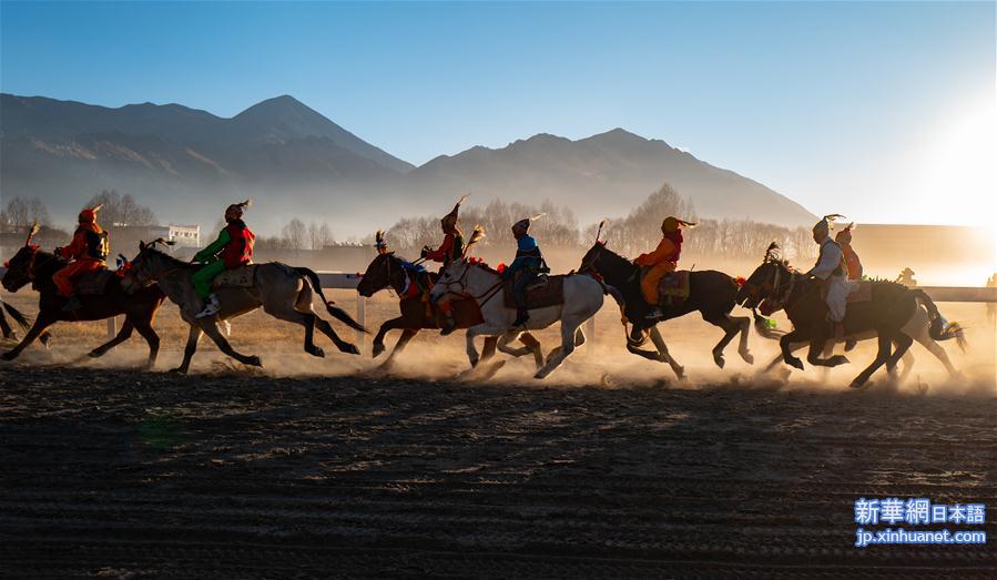 （新春走基层）（6）西藏：赛马庆新年