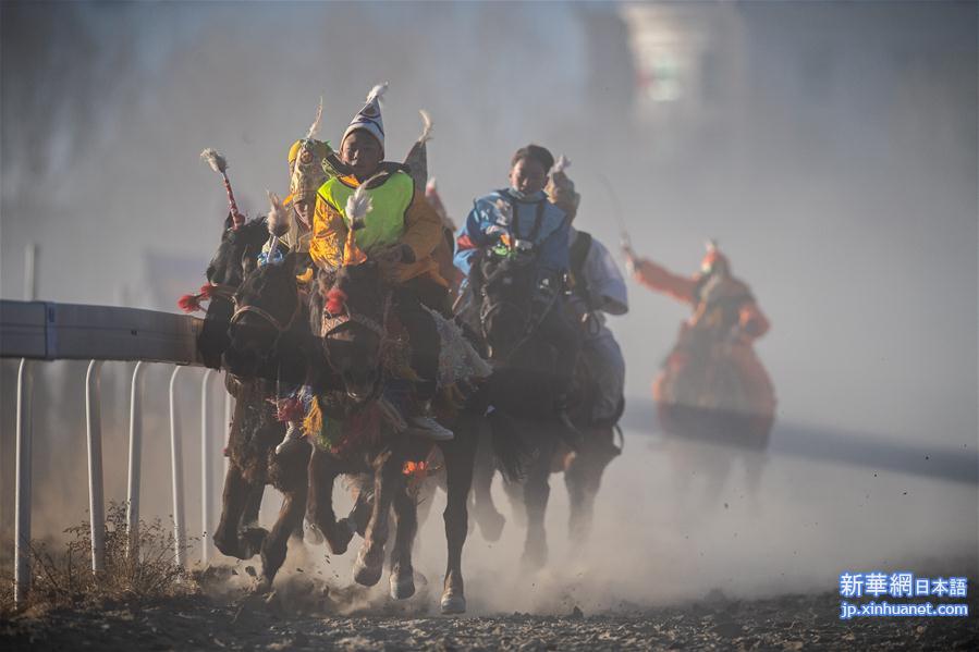 （新春走基层）（8）西藏：赛马庆新年