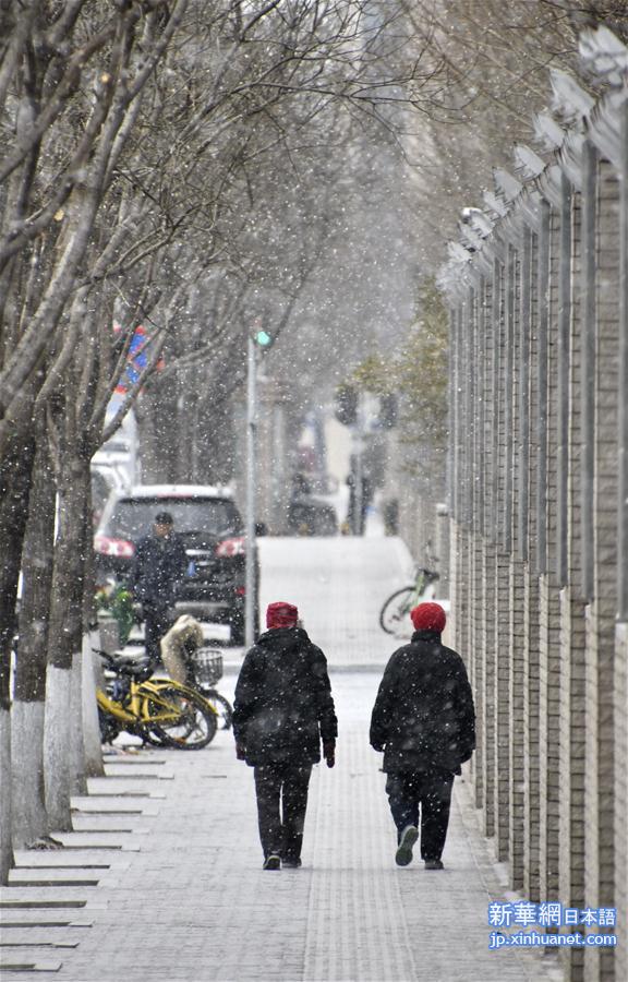 （环境）（2）北京降雪