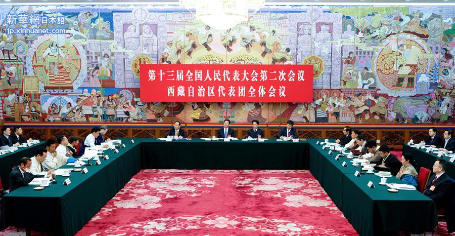 （两会）西藏代表团全体会议向媒体开放