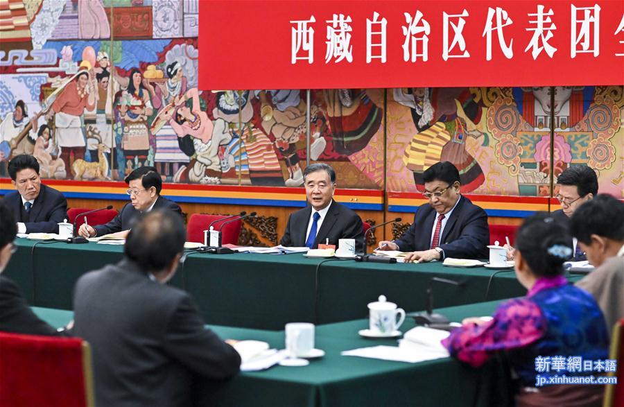 （两会）汪洋参加西藏代表团审议