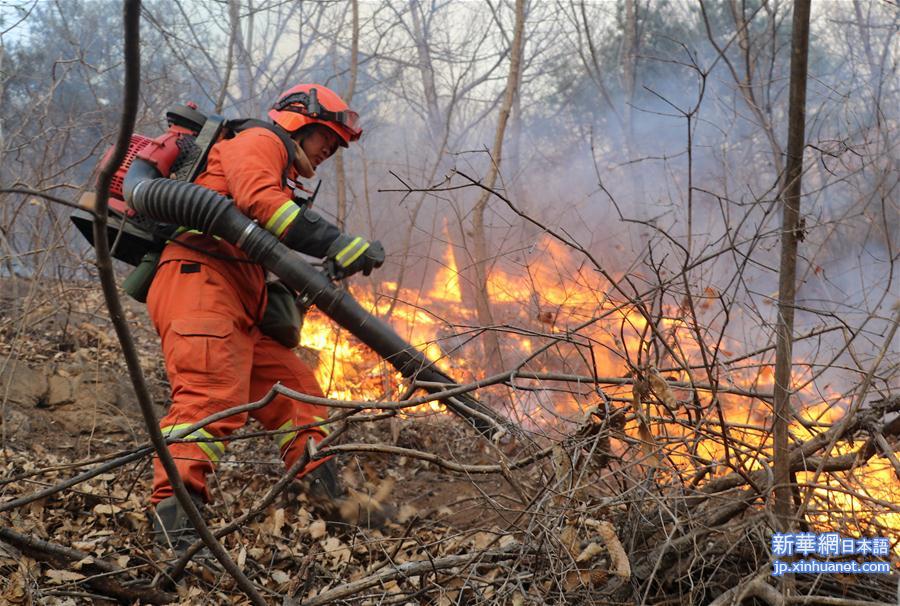 （新华网）（1）北京密云发生森林火灾 应急管理部紧急部署扑灭工作
