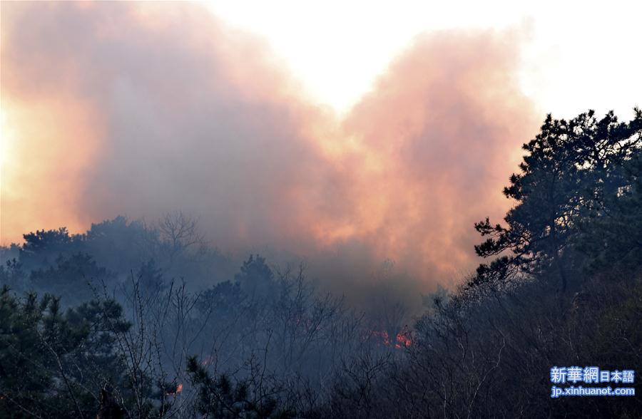 （新华网）（2）北京密云发生森林火灾 应急管理部紧急部署扑灭工作