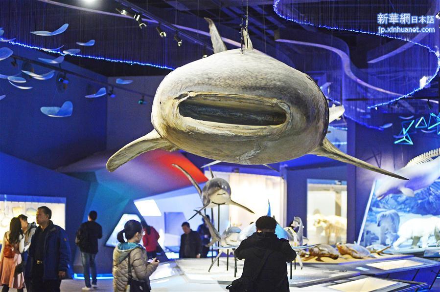 #（新华视界）（1）国家海洋博物馆计划年内开馆