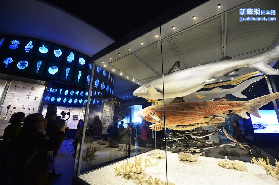 #（新华视界）（2）国家海洋博物馆计划年内开馆