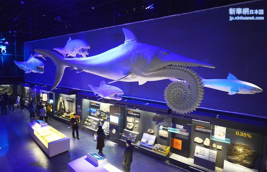 #（新华视界）（6）国家海洋博物馆计划年内开馆