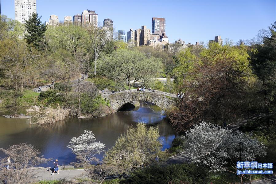 （国际·北京世园会）（4）世界园林巡礼——纽约的城市花园：中央公园