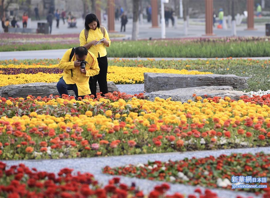 （北京世园会）（23）2019年中国北京世界园艺博览会开园