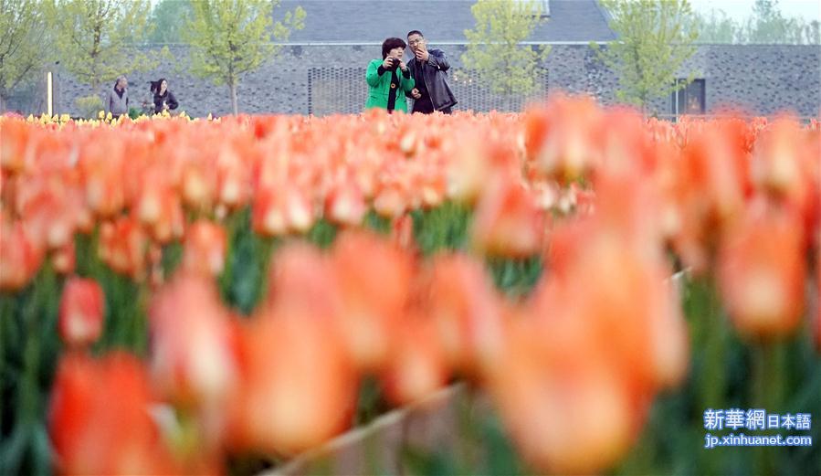 （北京世园会）（33）2019年中国北京世界园艺博览会开园