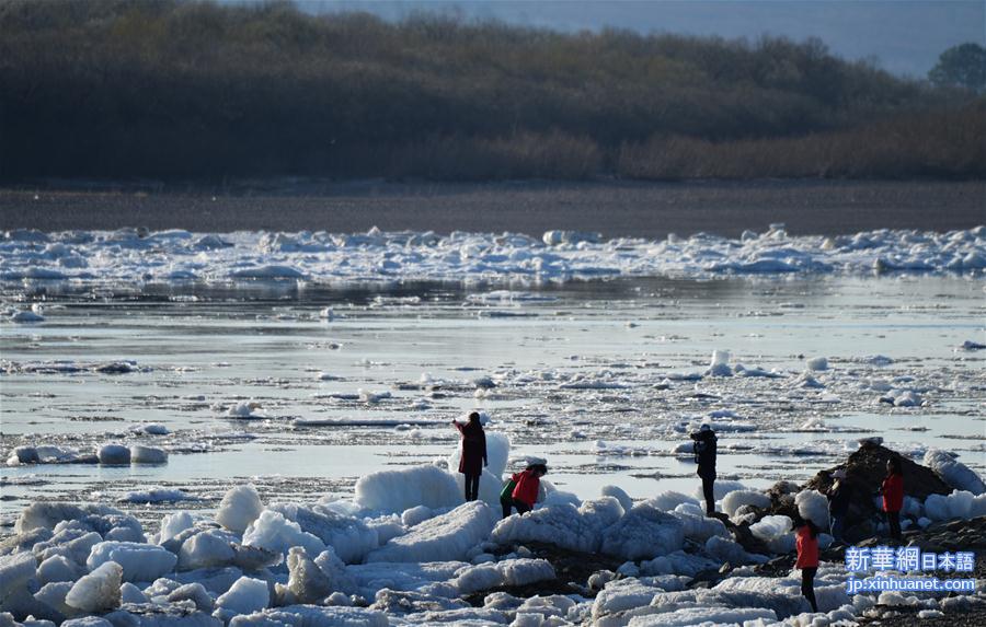 #（环境）（5）黑龙江呼玛：跑冰排景象引游人